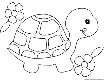 Рисуем пластилином. Раскраска Пять цветочков - скачать и распечатать шаблон  бесплатно с сайта Азбукиведия