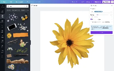плюмерия Png с прозрачным фоном PNG , плюмерия, цветок, природа PNG  картинки и пнг PSD рисунок для бесплатной загрузки