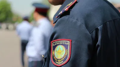 В школах Украины могут появиться полицейские и металлоискатели: что известно