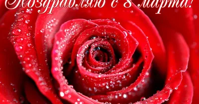 С 8 марта: поздравление-стихотворение - Скачайте на Davno.ru