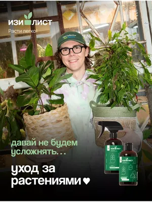 Как ухаживать за цветами: советы эксперта о том, как любому выращивать  домашние растения - 24 июля 2022 - ЧИТА.ру