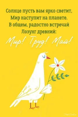 Пин от пользователя Елена Леонова на доске позитив | Смешные открытки,  Открытки, Счастливые картинки