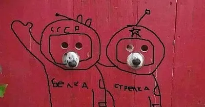 Красочные животные абстрактные милые граффити крутой Кот плакаты и принты  художественные картины на холсте домашняя кошка Настенная картина Декор для  комнаты | AliExpress