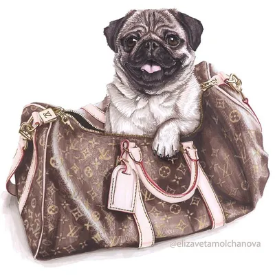 Картина на холсте Мопс собака милые животные (7) 30х40 см - купить по  низкой цене в интернет-магазине OZON (1207286368)