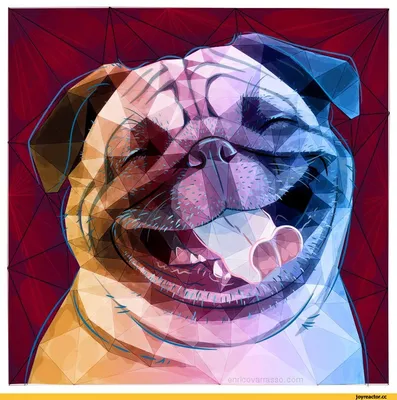 Картина на холсте Мопс собака милые животные (5) 50х70 см - купить по  низкой цене в интернет-магазине OZON (1207286339)