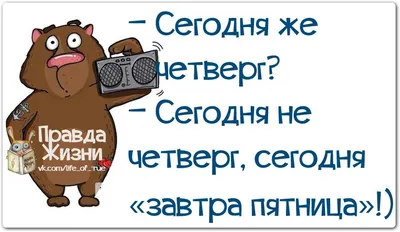 Смешные картинки: долой адекватность (35 картинок) от 2 марта 2018 |  Екабу.ру - развлекательный портал