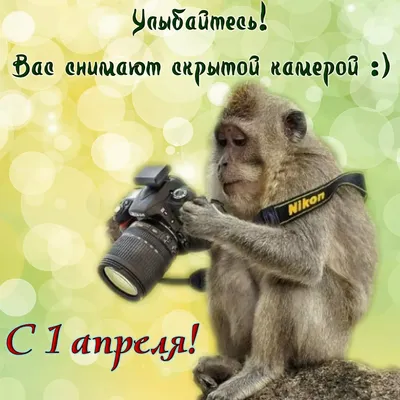 картинки с 1 апреля прикольные и смешные и ржачные: 6 тыс изображений  найдено в Яндекс.Картинках | Fictional characters, Emoticon, Album