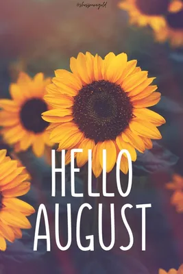 Hello August Wallpaper - She's Pure Gold | August wallpaper, Hello august,  Hello august images