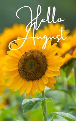 Hello August Month Wallpapers | August wallpaper, Hello august, Hello  august images