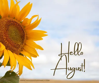 Tamsyn Morgans | Hello August!