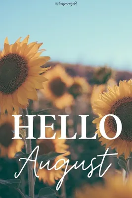 Hello August Photos and Images | Shutterstock