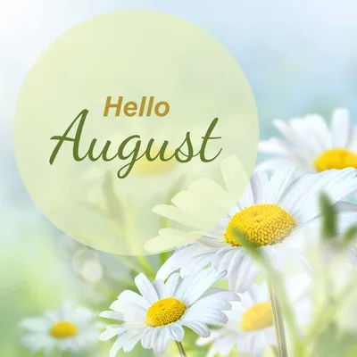 Beautiful Hello August Images: Welcome the New Month