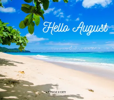 Download \"Hello, August\" Wallpaper | Wallpapers.com