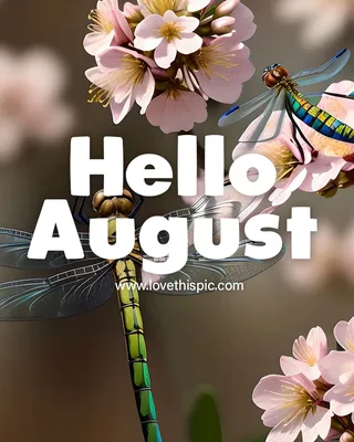 Goodbye July. Hello August ♥ - Anna Grace Taylor | Facebook