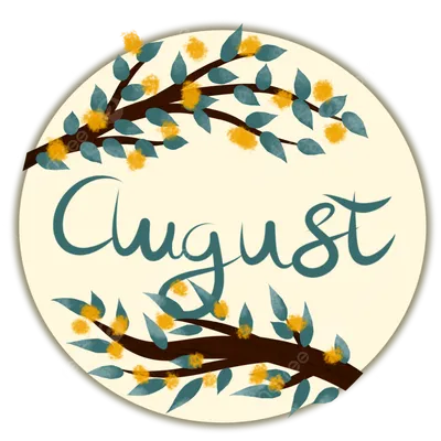 Hello August greeting on ocean sunset background.Summer concept.Selective  focus. Stock Photo | Adobe Stock