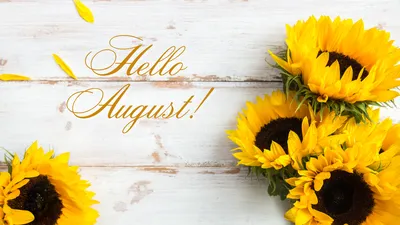 Hello August - greeting card for beginning of summer, welcoming poster  design. Vector illustration with watercolor textured yellow sunset sun  spot, orange yellow sky background. banner, poster 8072518 Vector Art at  Vecteezy