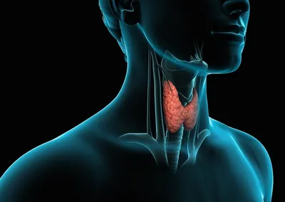 Сухой кашель - причины, диагностика видов кашля и лечение