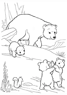 Раскраски диких животных для детей. Распечатайте онлайн!