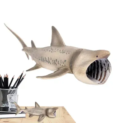 установить акулу изолировать белый фон в плоском. различные акулы  Иллюстрация вектора - иллюстрации насчитывающей шарж, греться: 225094535