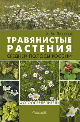 Редкие виды растений Куршской косы | Куршская Коса - национальный парк