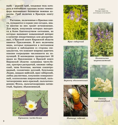 Растения Красной книги России — названия, краткое описание и фото — Природа  Мира
