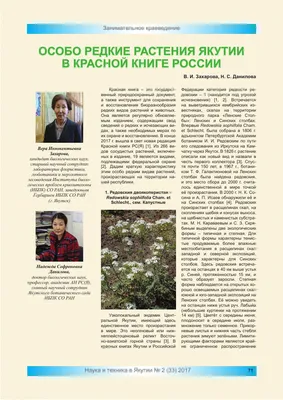 В Тверской области нашли цветок из Красной книги - Газета Вся Тверь
