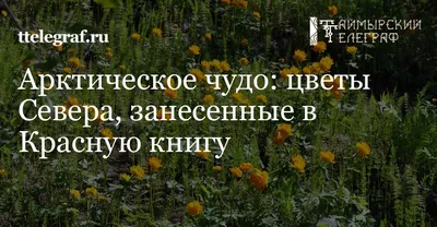 Редкие растения и грибы теперь на монетах | Банк России