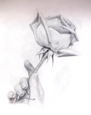 Купить букет из 101 розы 101 роза «Облако в руках» с доставкой в Астрахани  - «Даниэль»