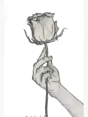 красная роза в руке девушки. цветок как знак сочувствия. женская рука с  розами. девушка на первом свидании Стоковое Фото - изображение  насчитывающей свеже, владение: 229429918