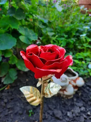 Фото тату роза на кисти сделать в тату салоне в Москве по низкой цене