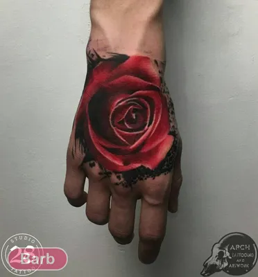 Роза в руке - красивые фото