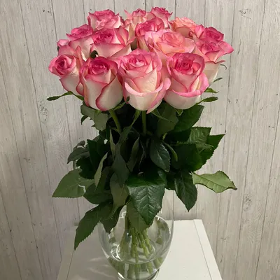 Розовые розы 15 шт. купить за 1950 руб. в Пензе с доставкой