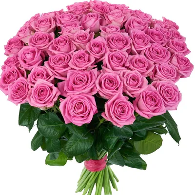 Букет 51 кустовая роза, нежно-розовая купить за 15 580 руб. с  круглосуточной доставкой | Мосцветторгком