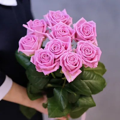 Ярко-розовые розы Голландия 90 см \"Пинк Флойд\" шт. купить с доставкой по  Краснодару
