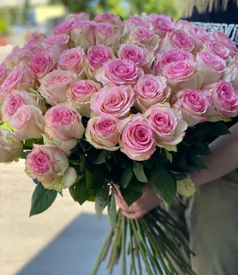 Купить Букет из 101 розовой розы Премиум (70 см) с доставкой в Омске -  магазин цветов Трава