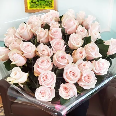 Статьи » Что означают розовые розы