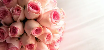 Букет из 31 розовой розы в стильной упаковке! - Доставка свежих цветов в  Красноярске