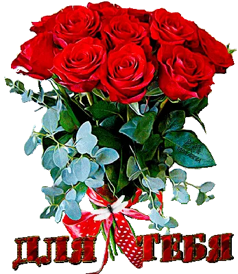 РОЗЫ,ДЛЯ ТЕБЯ!~Анимационные блестящие GIF картинки | Красная роза, Красные  розы, С днем рождения