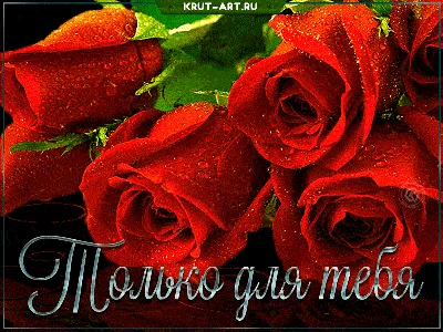 Красивые мерцающие розы для тебя, романтичная гиф открытка для подруги или  жены | Розы, Открытки, Красные розы