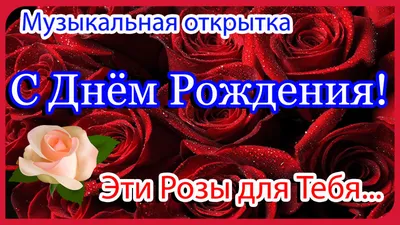 Корзина \"Розы для тебя\" купить в Гродно с доставкой - «Незабудка»