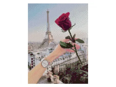 Заказать Букет \"Розы для тебя\" | Цветули - уникальный сервис по доставке  цветов без накруток и посредников в городе Котлас