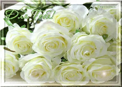 Букет роз для тебя» картина Кропачевой Елены маслом на холсте — купить на  ArtNow.ru