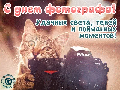 Поздравляем Юрия (kapiteli) - любителя городских прогулок и замечательного  фотографа!!! • Форум Винского