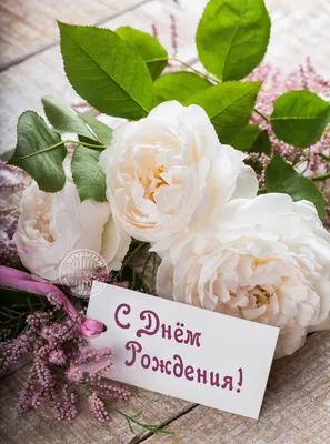 Поздравления с Днём рождения, цветы…» — создано в Шедевруме