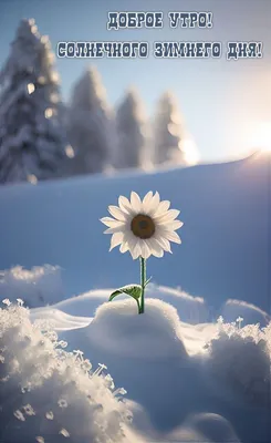 Светлая и позитивная картинка с добрым, солнечным, ласковым и нежным утром  — Скачайте на Davno.ru
