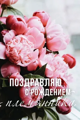 Поздравление с днем племянника - Фотографии и картинки на разные тематики -  pictx.ru