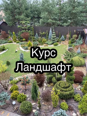 Декоративный сад своими руками, Анна Зорина – скачать книгу fb2, epub, pdf  на ЛитРес