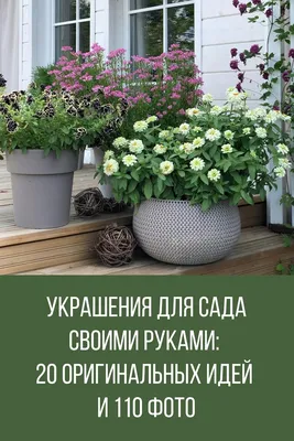 Ева «Сад своими руками» | Озеленение, онлайн курсы по стрижке сада в  Воронежской области