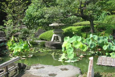 Сады японии картинки обои