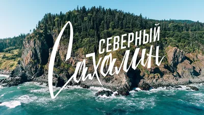 На Сахалине обсудили экологические перспективы Дальнего Востока - РИА  Новости, 09.02.2021